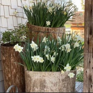 Get me to 150K followers!!!